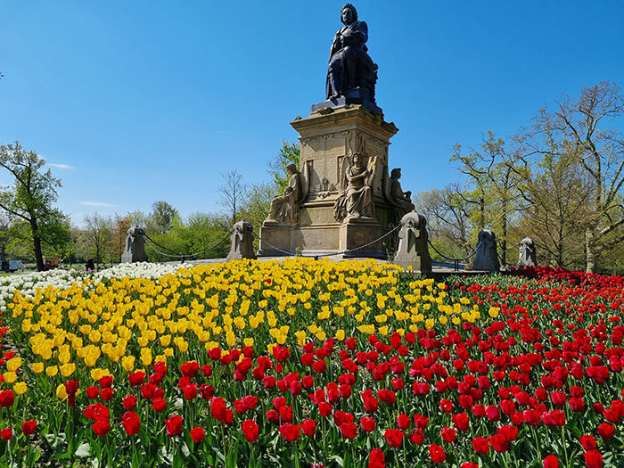 Park with flowers